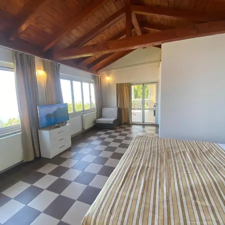 Salyna Apartment