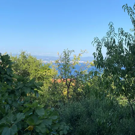 Apartman Salyna *