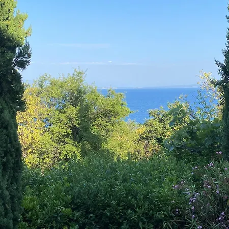 Salyna
