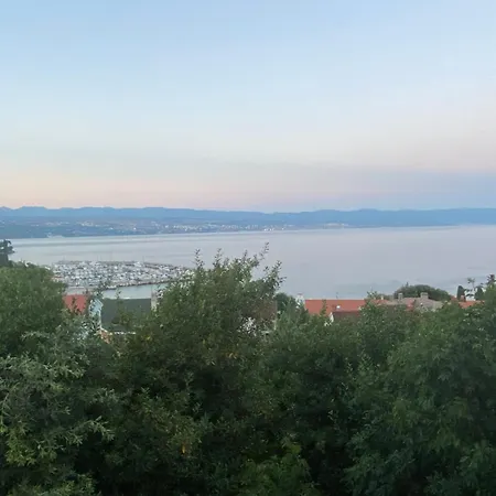 Salyna