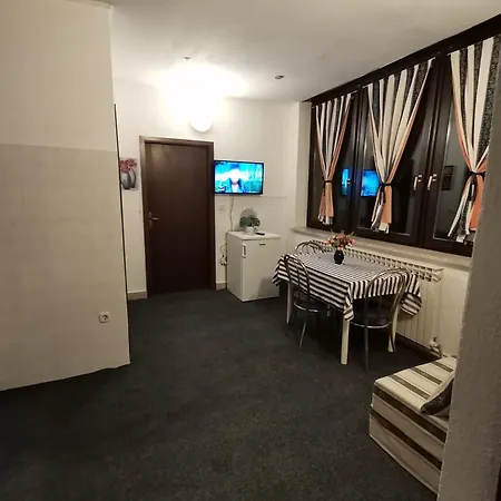 Salyna Icici
