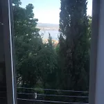 Salyna *