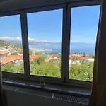 Salyna *