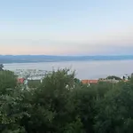 Salyna
