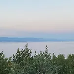Salyna *