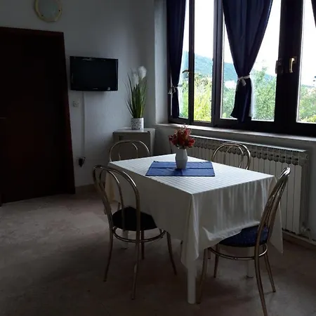 Apartament Salyna