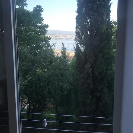 Salyna *