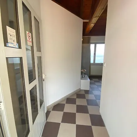 Salyna Ičići