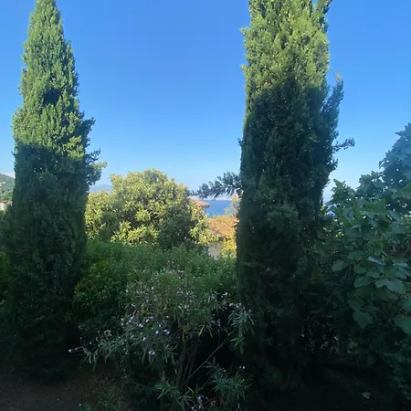Apartament Salyna Ičići