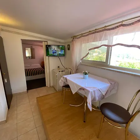 Apartament Salyna