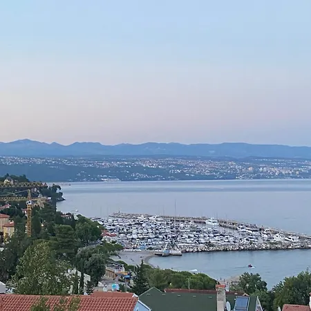 Salyna Ičići