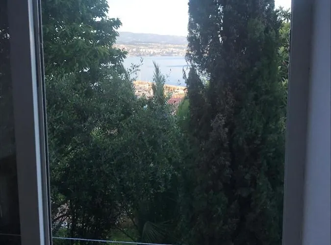 Salyna *