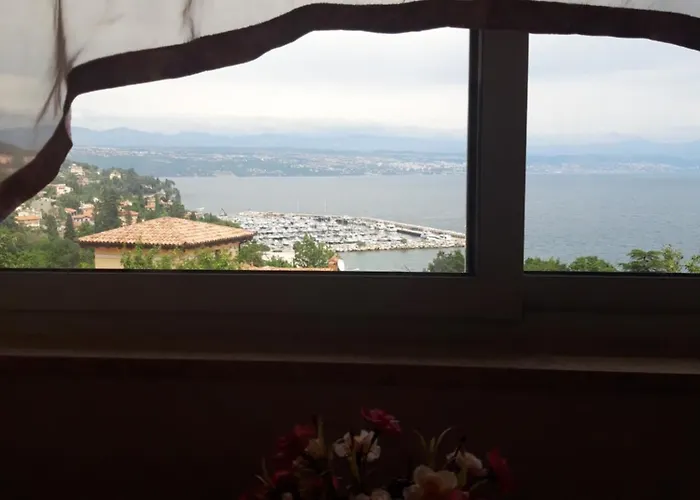 Salyna Ičići