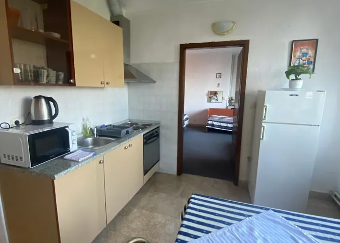 Salyna Appartamento Ičići