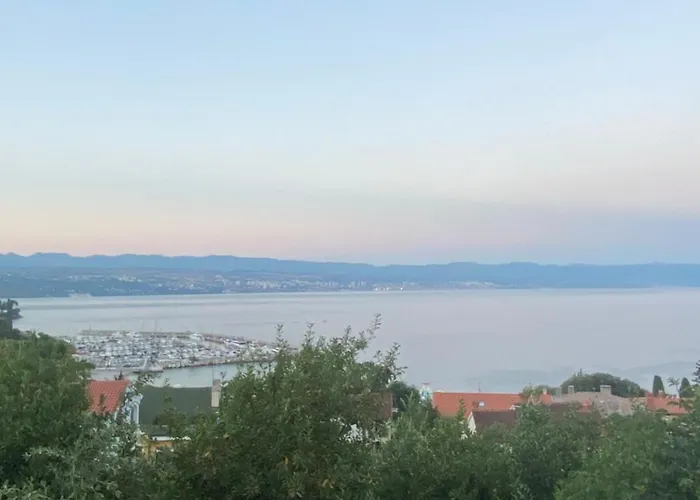 Appartamento Salyna Ičići